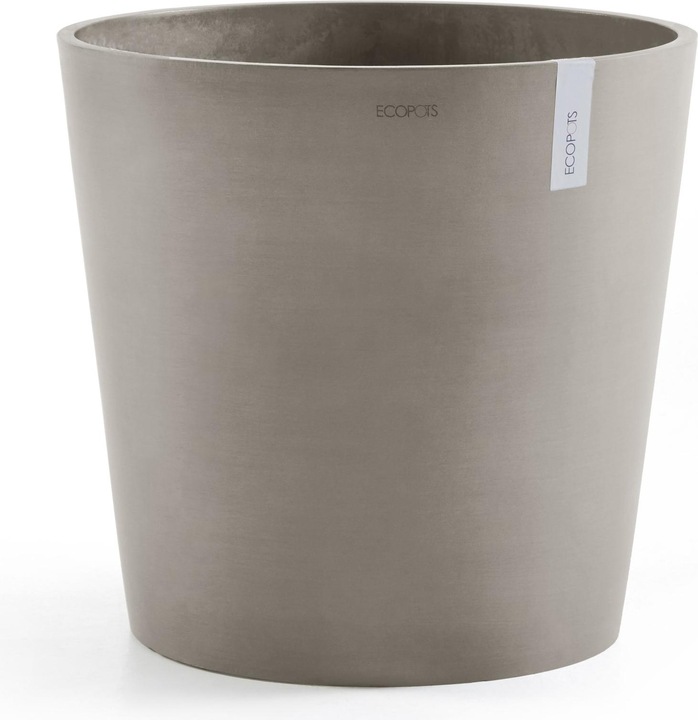 French Taupe