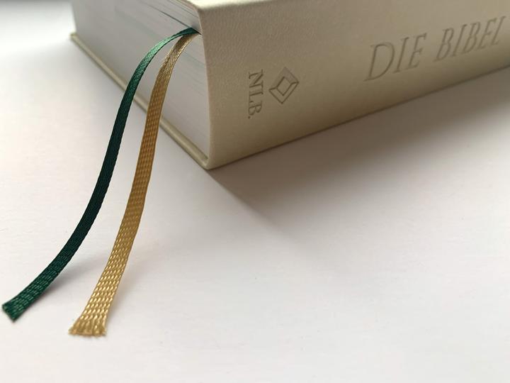 Actual product image Die Bibel mit Impulsen von Joyce Meyer, Kunstlederausgabe (German, Joyce Meyer, 2024)