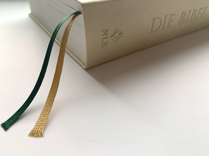 Produktbild Die Bibel mit Impulsen von Joyce Meyer, Kunstlederausgabe (Deutsch, Joyce Meyer, 2024)