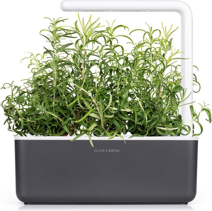 Immagine prodotto Click and Grow Rosmarino (Semi di erbe)