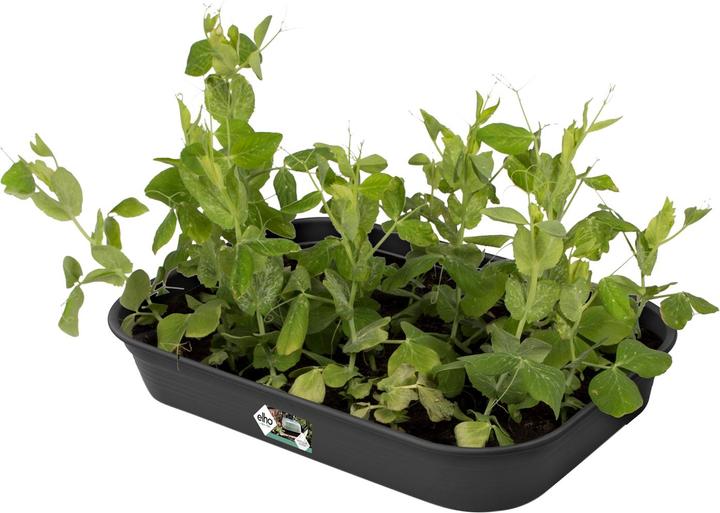 Produktbild Elho Green Basics