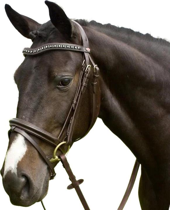 Produktbild FlashZaumzeug Lynton Leder