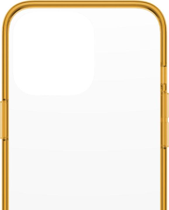 Actual product image PanzerGlass Clear Case (Apple iPhone 13 Pro)