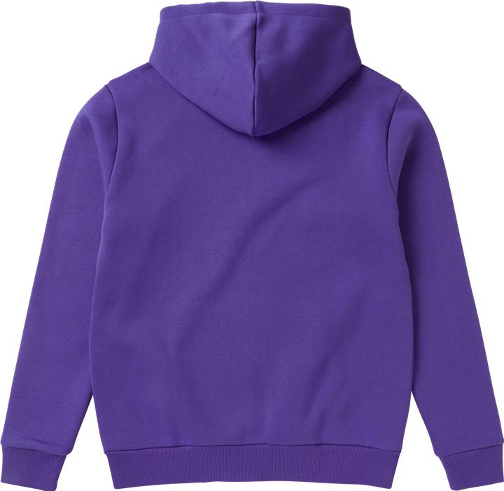 Actual product image Mystic Icon Hood Sweat (XL)
