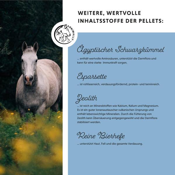 Produktbild Annimally Zink Pellets - Nachfüllpackung (2000 g)