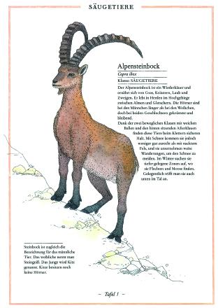 Produktbild Steinbock, Adler, Edelweiss (Deutsch, Virginie Aladjidi, 2018)