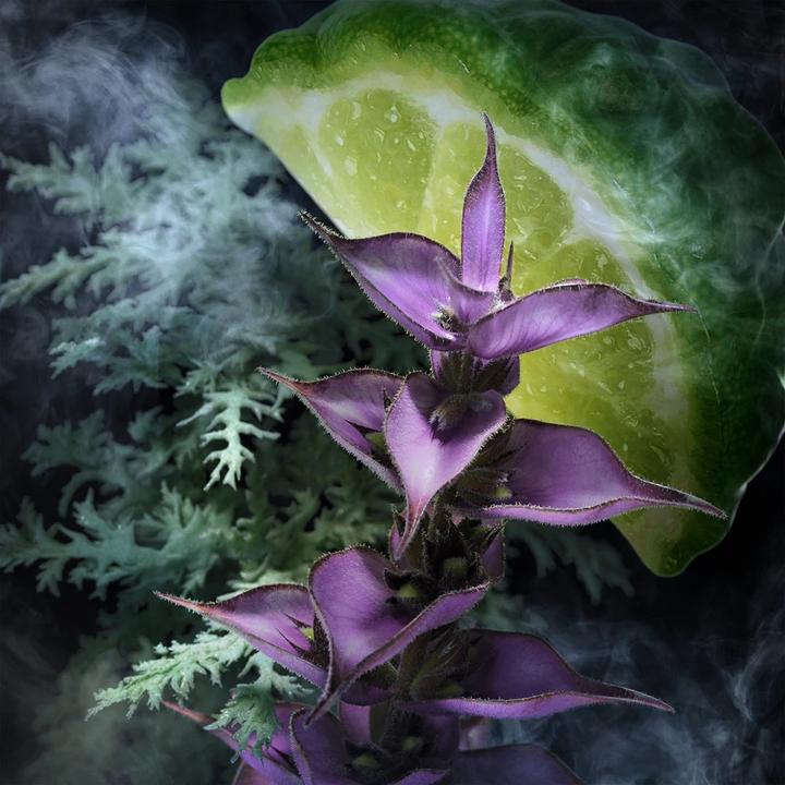 Immagine prodotto Davidoff Campione (Eau de toilette, 90 ml)