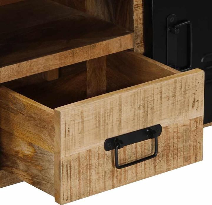 Image du produit vidaXL TV-Schrank (100 x 30 x 40 cm)