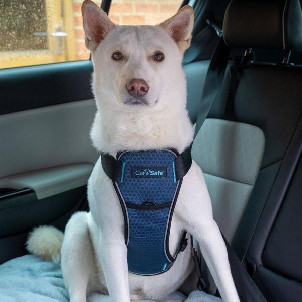 Harnais pour Chien Company of Animals Carsafe Crash Tested Bleu De voyage S