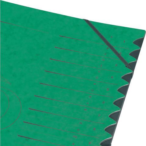 Actual product image Herlitz Easyorga file, A4, cardboard, 12 compartments, green Colorspan cardboard, 355 gsm, inside black mani (A4, 1x)