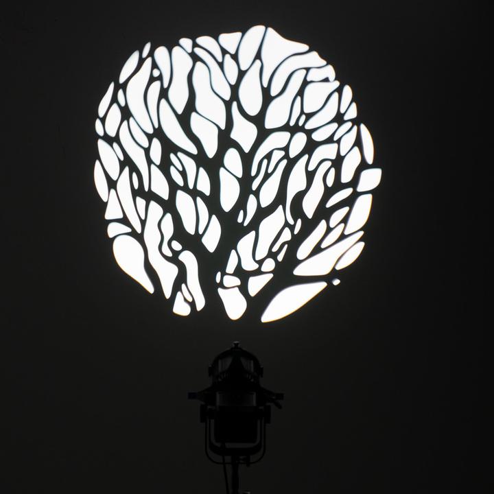 Image du produit Nanlite PJ-BM-36 Projektionsaufsatz (Divers)