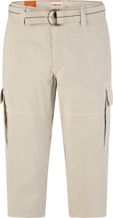 Image du produit Hattric Cargo Shorts (30)