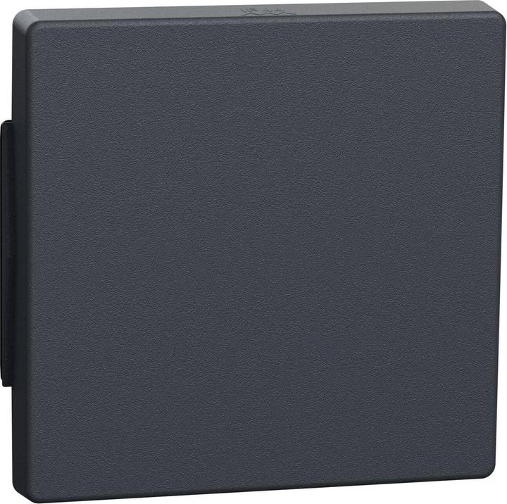 Actual product image Merten Rocker