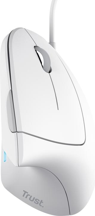 Actual product image Trust Verto Wired Ergo Mouse White (Cable)