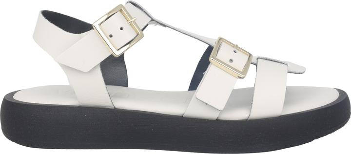 Actual product image Wonders Luz (39)