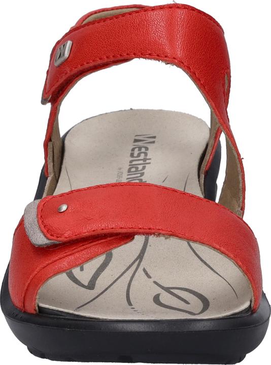 Actual product image Westland 25901-644 (38)