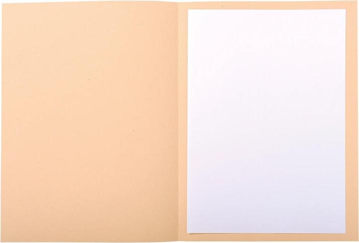 Image du produit Exacompta FOLDYNE 250 - Porte-documents A4 (A4, 50x)