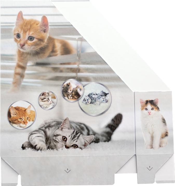 Produktbild HERMA Stehsammler (A4)