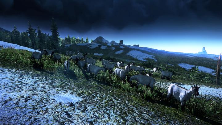 Produktbild The Witcher 3 : Wild Hunt