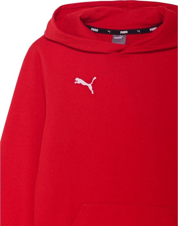 Produktbild Puma Team Goal Casuals Kapuzenpullover (152)