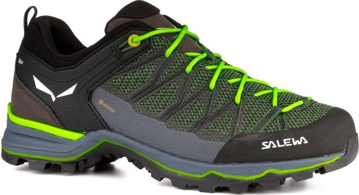 Produktbild Salewa MTN Trainer Lite GTX Schuhe (41)