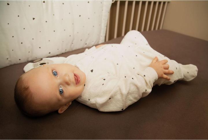 Image du produit Zewi Dors-bien en éponge (56)