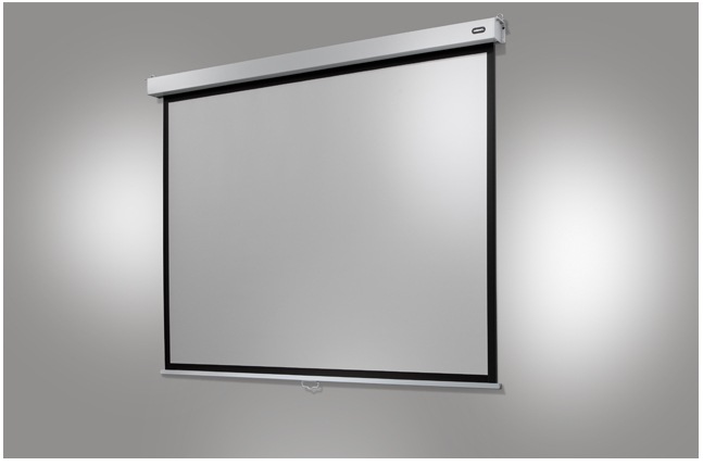 Actual product image Celexon Professional Plus (108", 4:3)