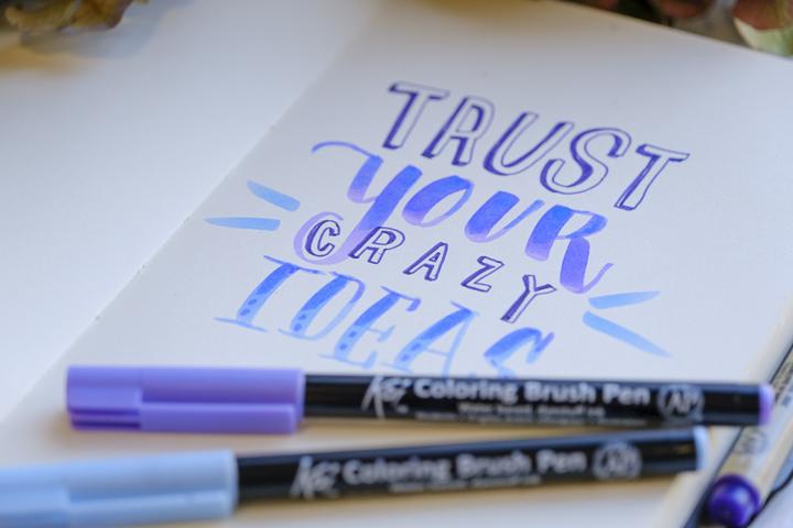 Produktbild Sakura Pigma Brush (9x)