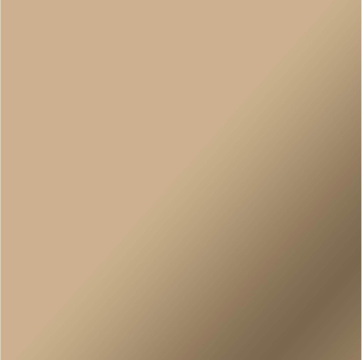 Actual product image Cricut Vinyl film Smart Permanent 33 x 366 cm, 1 piece, champagne