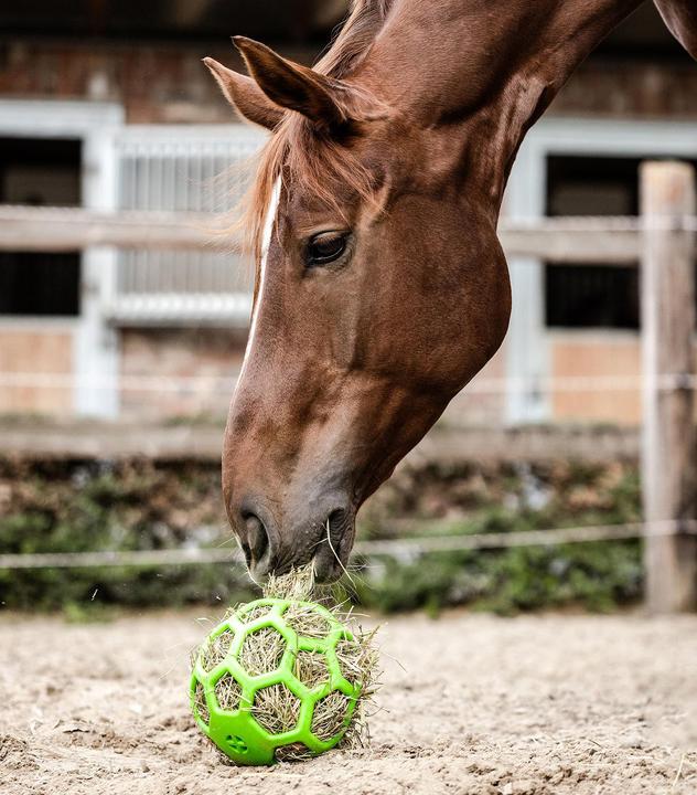 Actual product image Waldhausen Hay ball