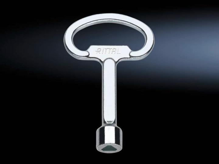 Actual product image Rittal Control cabinet key