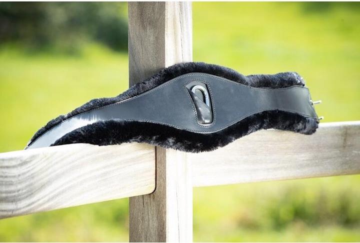 Produktbild HFI Master Sattelgurt