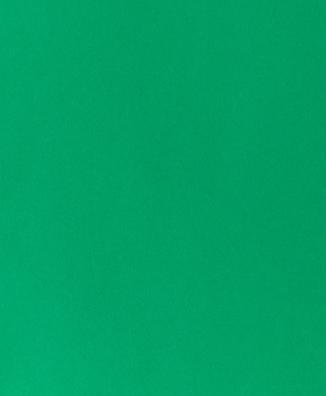 Actual product image Photo cardboard A4, fir green (270 g/m², 1 x)
