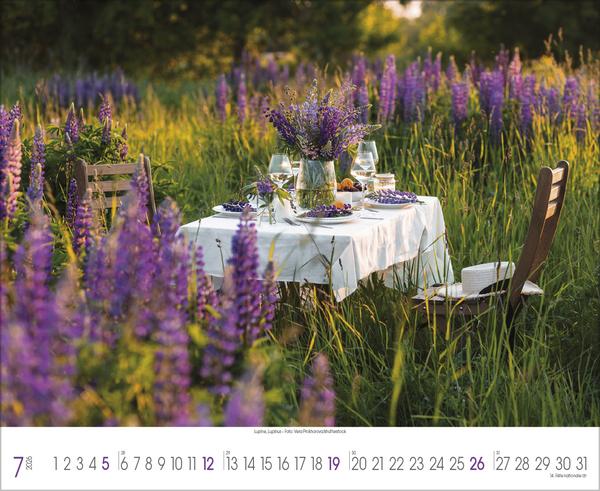 Produktbild Traumhafte Grten 2026