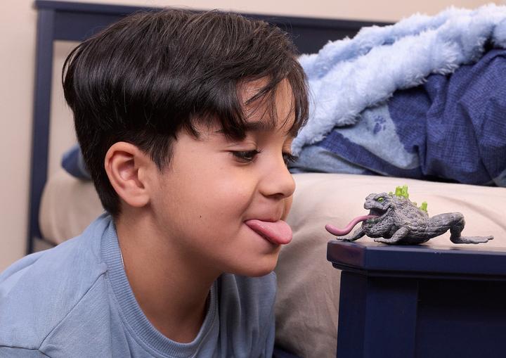 Image du produit Schleich Stein-Kröte