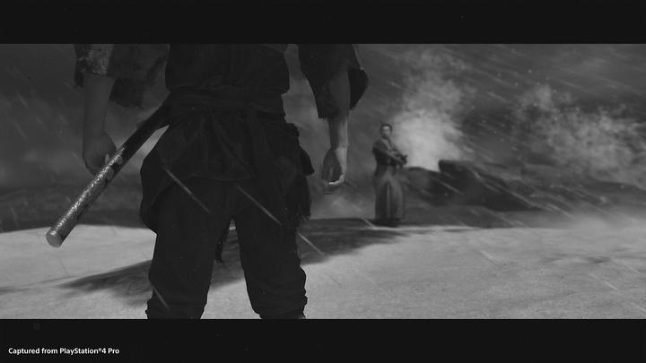 Actual product image Sony Ghost of Tsushima - PlayStation 4 - M (Mature) (PS4, DE)