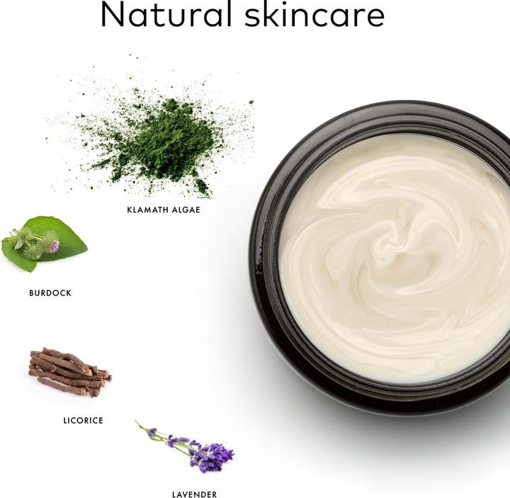 Actual product image Alkemy Cream against pimples and skin impurities (24h cream)