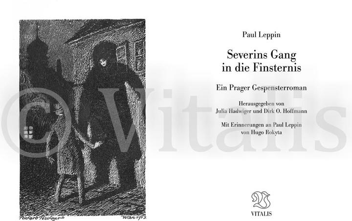 Produktbild Severins Gang in die Finsternis (Deutsch, Paul Leppin, 2017)