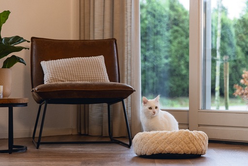 Immagine prodotto Beeztees Levisa (Gatto)