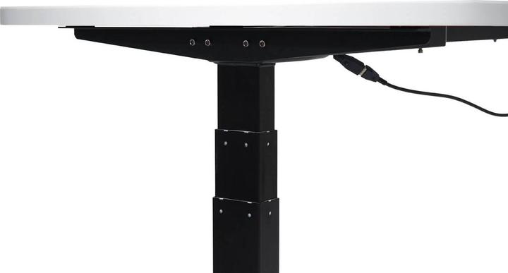 Immagine prodotto Swisshandel24 Scrivania (160 x 80 x 121 cm)