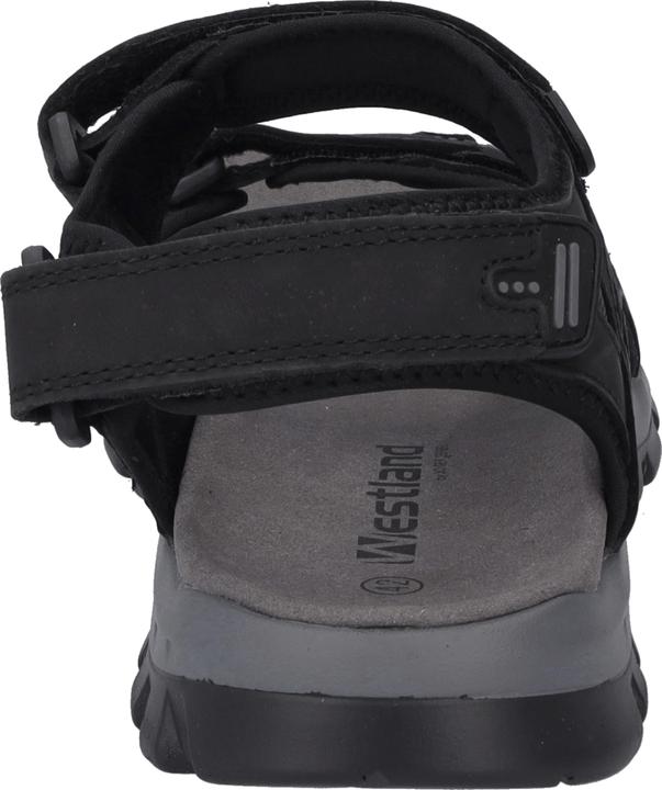 Produktbild Westland 17501-TE508 (42)