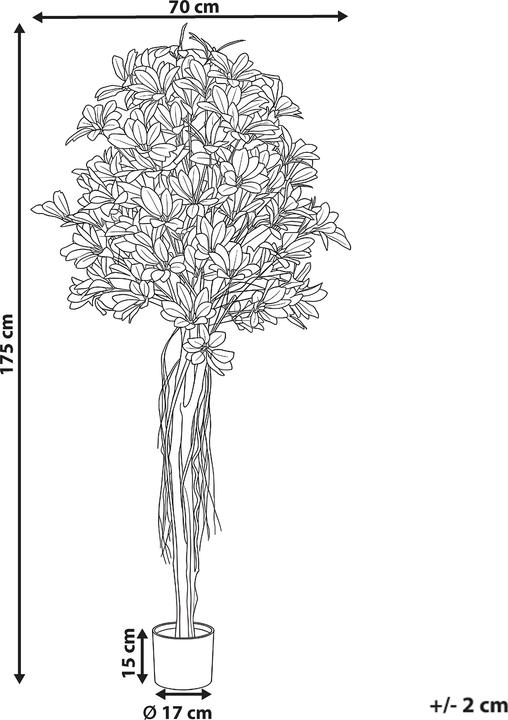 Produktbild Beliani Umbrella Tree (175 cm)