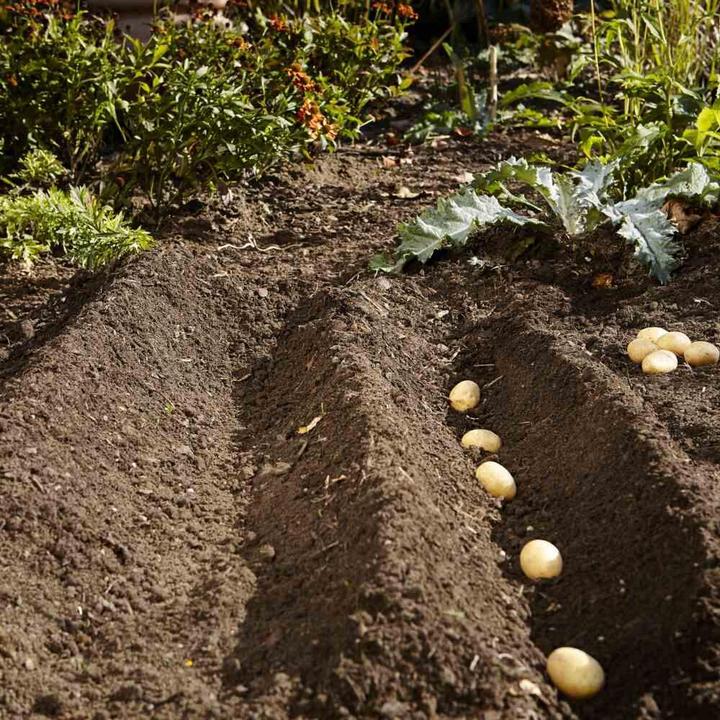 Produktbild Gardena Gardino