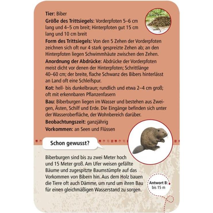 Thumbnail - Moses 50 Tierspuren (Deutsch)