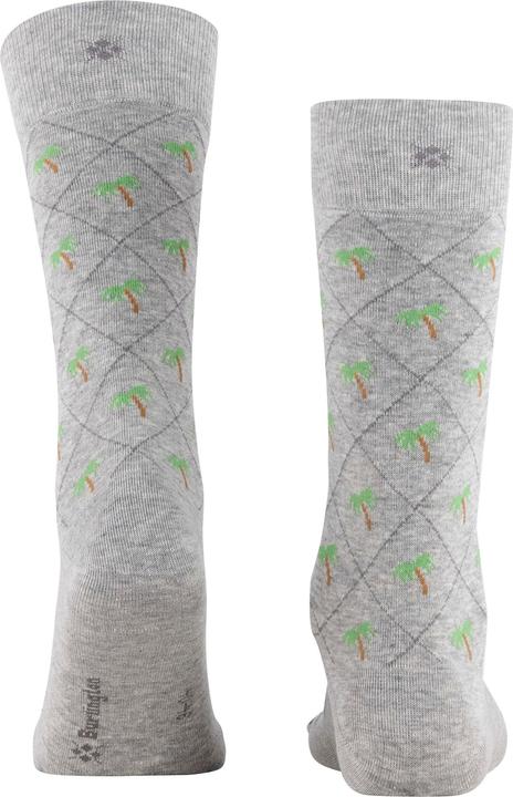 Produktbild Burlington Palm Tree (Einzelpack, 40 - 46)