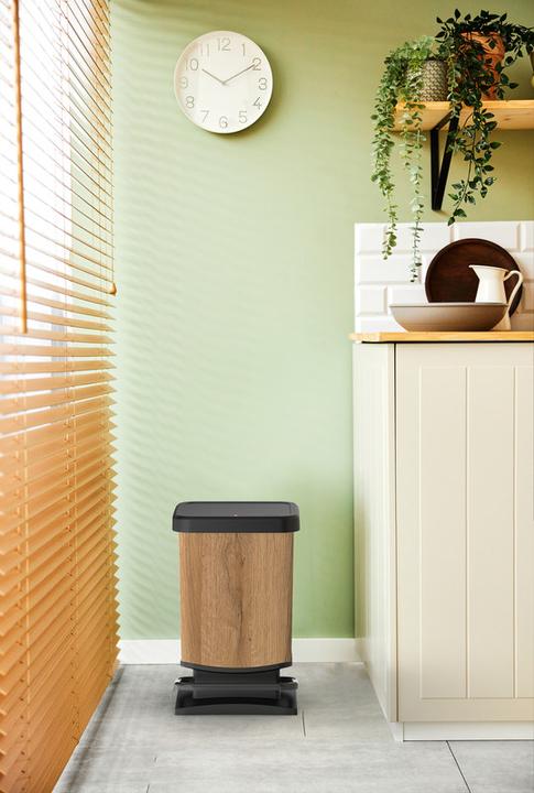 Actual product image Rotho Paso (20 l)