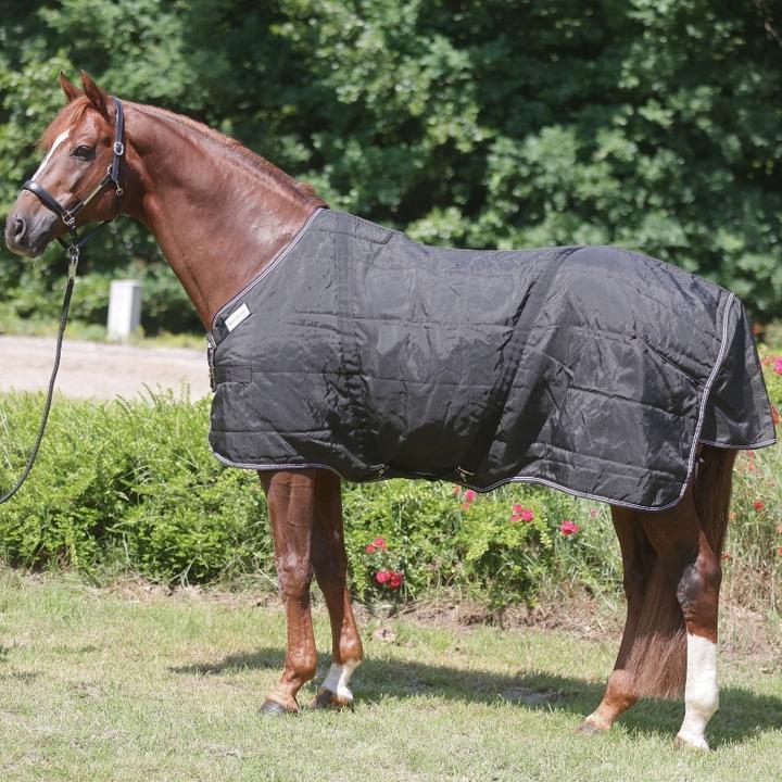 Kavalkade Stallion Chest 200 g (155 cm)