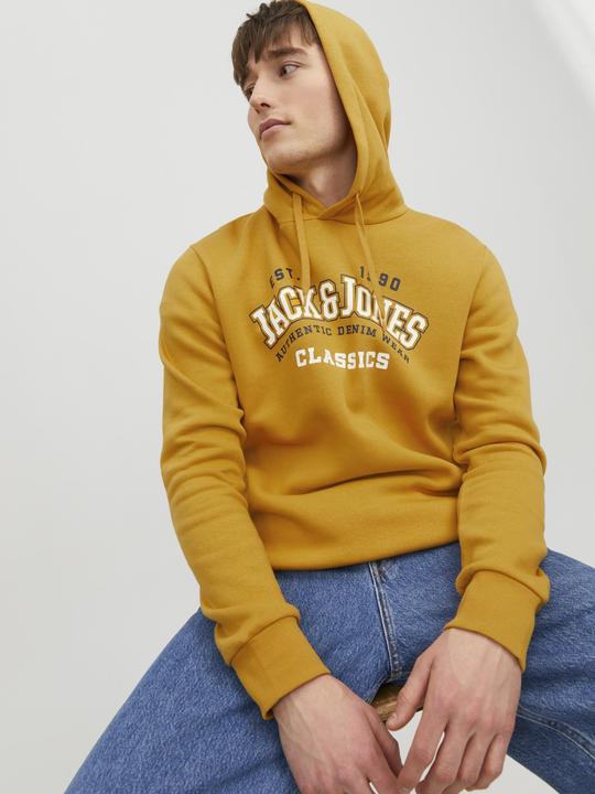 Actual product image Jack & Jones Logo Hoodie (L)