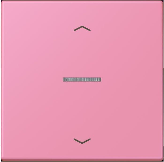 Actual product image JUNG BTLC17101P246 HOME push button