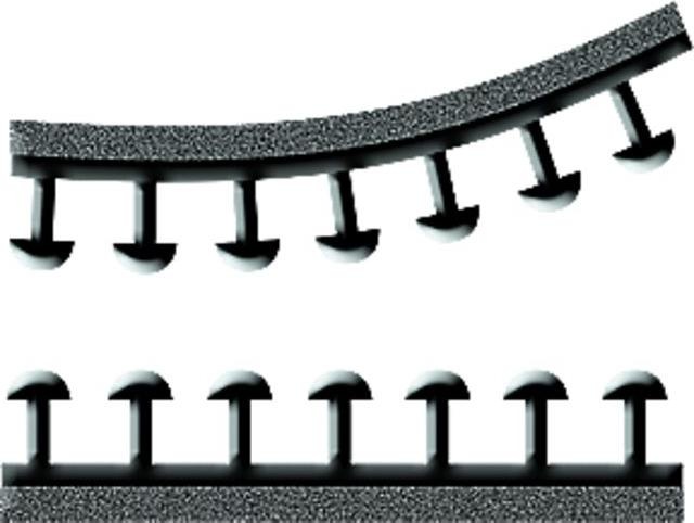 Actual product image 3M Dual Lock (25 mm)